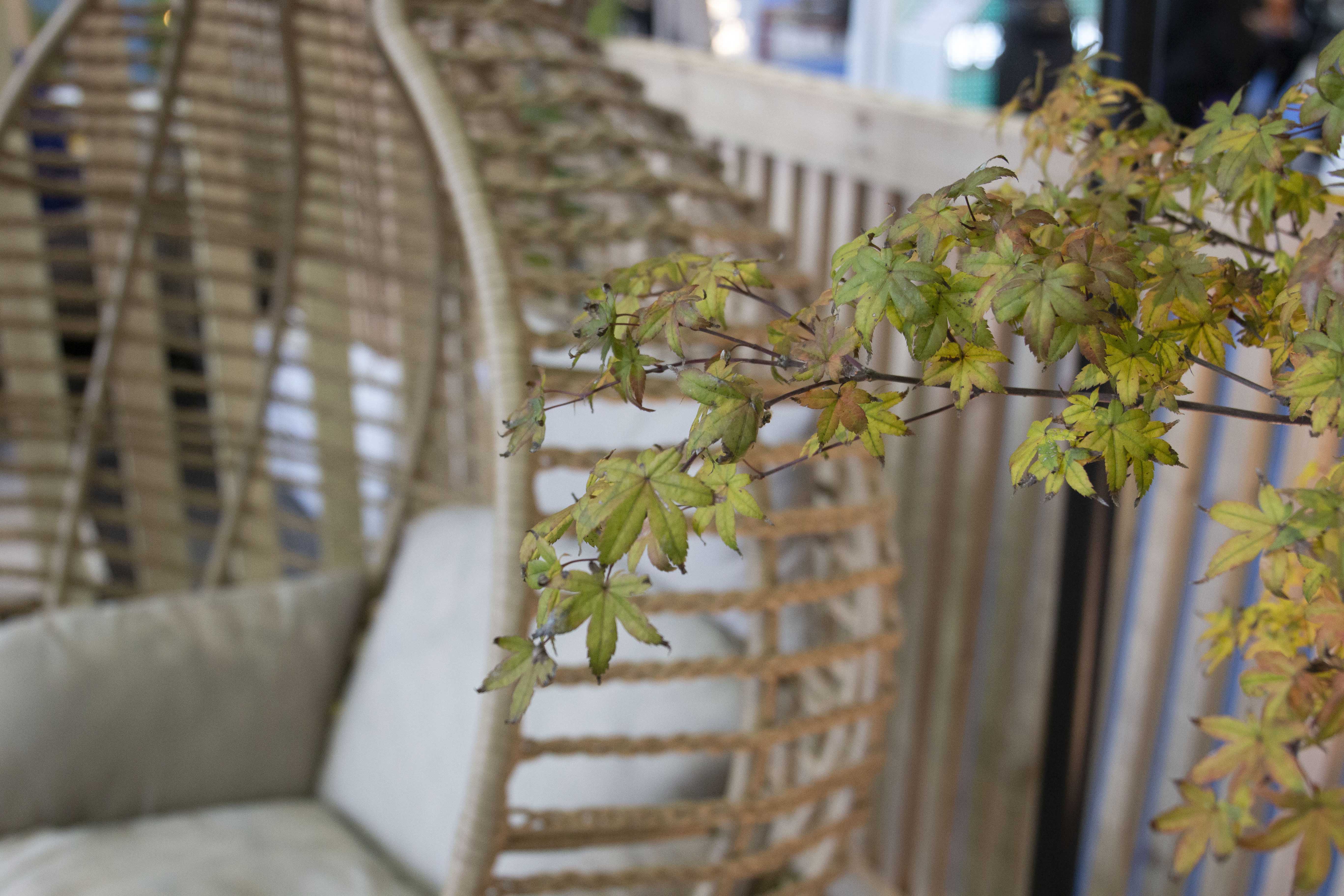 Hanging Chair