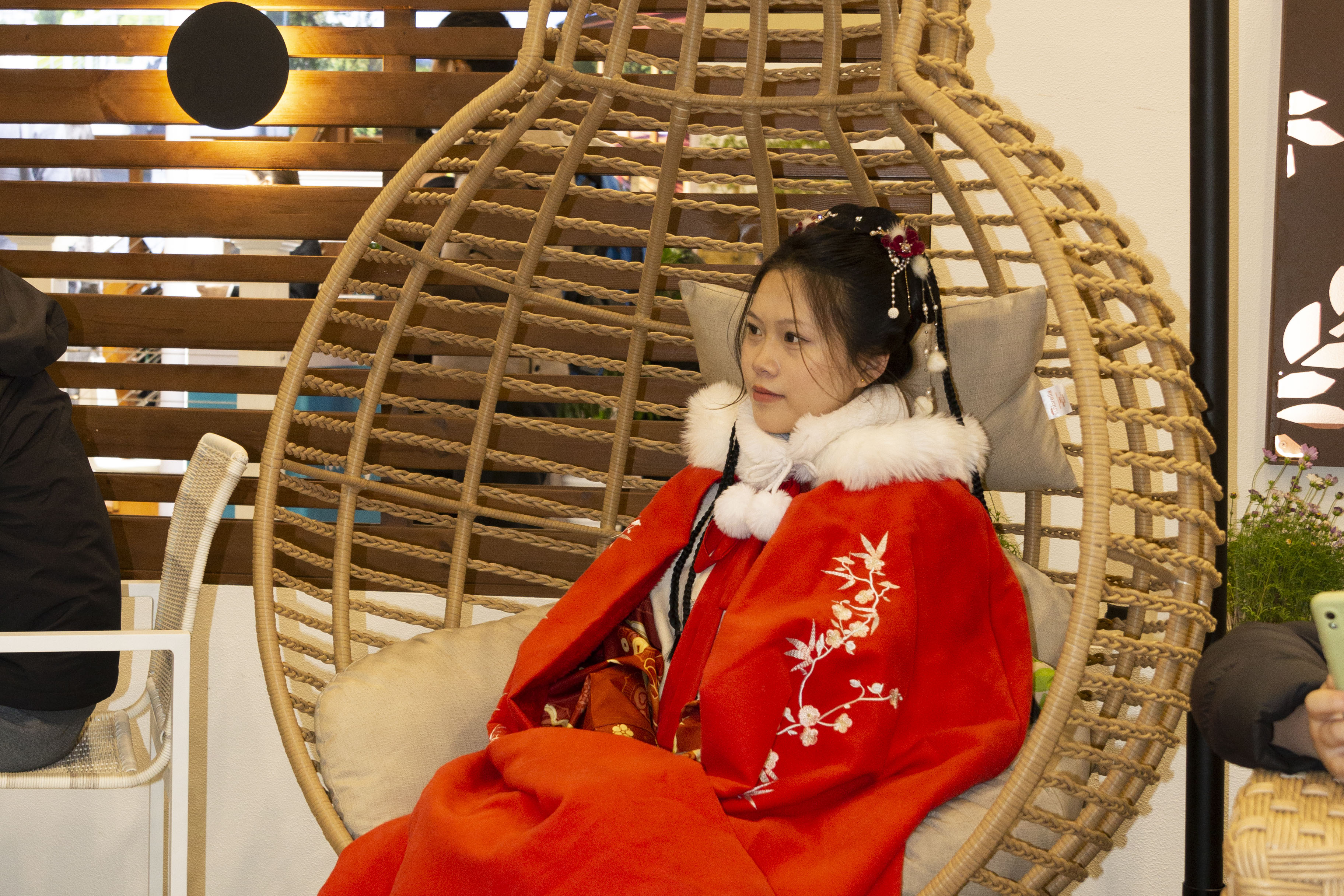 Hanging Chair